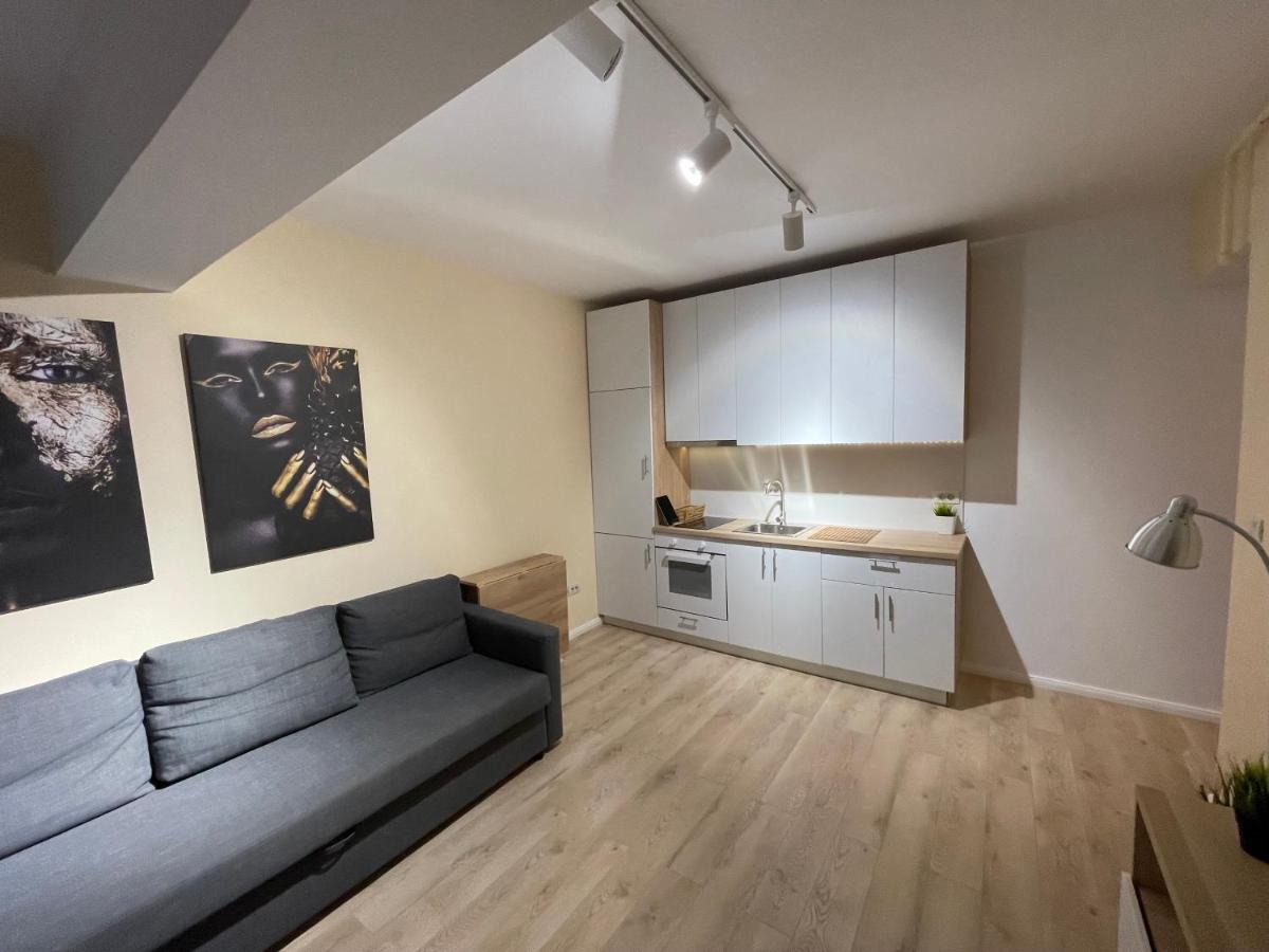 Riverside Luxury Apartment Near President Palace 부쿠레슈티 외부 사진